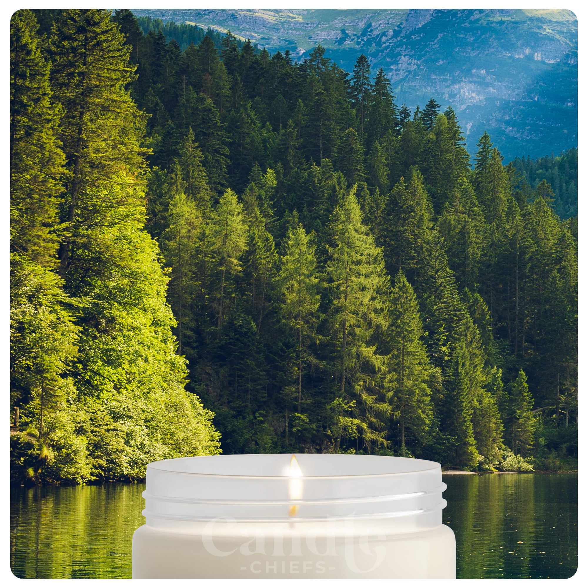 KIEFERNWALD – Duftkerze aus 100 % Sojawachs